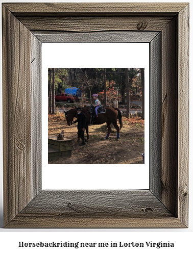 horseback riding near me in Lorton, Virginia